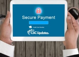 DigiPay Lite – Everything you need to know Digipay Lite